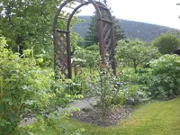 Garten Mai4 020.webp