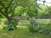 Garten Mai4 032.webp