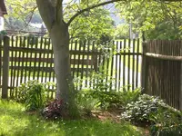 Garten Mai4 042.webp