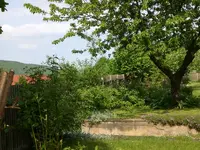Garten Mai4 043.webp