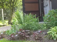 Garten Mai4 045.webp