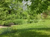 Garten Mai4 046.webp