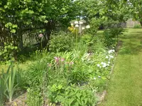 Garten Mai4 055.webp