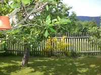 Garten Mai4 059.webp