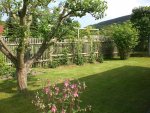 Garten Mai4 060.jpg