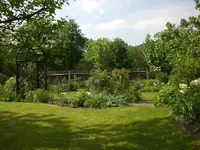 Garten Mai4 064.webp