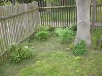 Garten Mai3 013.webp