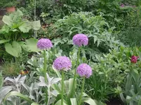 25.5.2010 021.webp