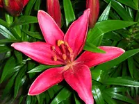 DSCN1747.webp