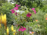 garten4 028.webp