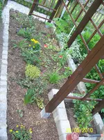 100_2441.webp