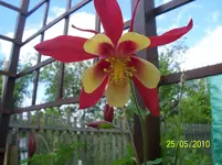 100_2442.webp
