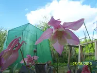 100_2443.webp