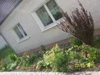 100_2449.webp
