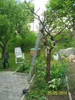 100_2453.webp