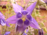 Fotos 003.webp