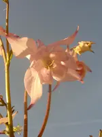 Fotos 009.webp