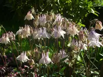 Fotos 006.webp