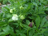 Fotos 020.webp