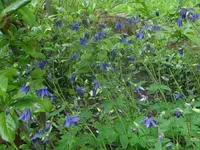 Fotos 022.webp