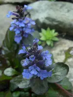 Fotos 021.webp