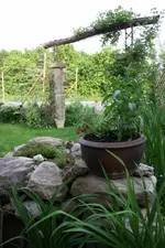 25.05 (7).webp