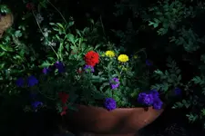 25.05 (12).webp