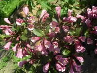 Fotos 013.webp