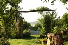 rosenbogen.webp