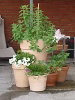 25.05.2010 003.webp