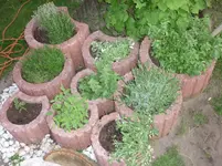 25.05.2010 007.webp