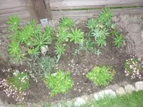 25.05.2010 009.webp