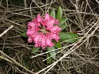 25.05.2010 027.webp