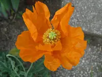 IMG_5341_1024x768.webp