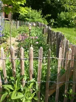 CIMG7842.webp