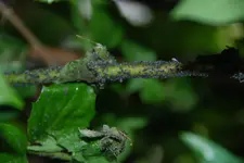 DSC_0737.webp