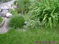 Deko7.webp