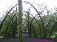 PIC00035.webp