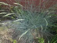 HPIM4525.webp