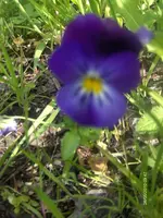 HPIM4519.webp