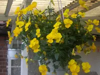 HPIM4512.webp