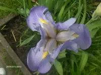 HPIM4508.webp