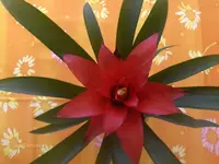 HPIM4504.webp