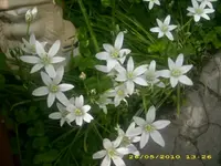 JD800002.webp