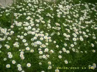JD800003.webp