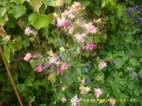 JD800005.webp