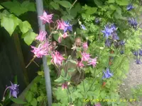 34812.webp