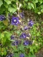 JD800008.webp