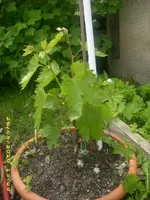 JD800009.webp