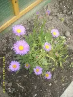 JD800011.webp